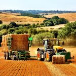 agri bale, hay, straw, merchants, farming, agricul
